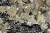 Cerussite Crystals on Galena - Morocco #213571-2